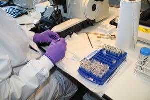 Scientist in lab