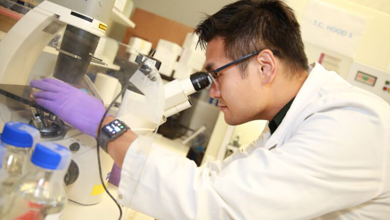 Photo of researcher looking through a microscope