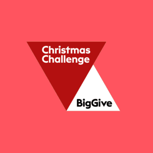 Big Give Christmas Challenge logo