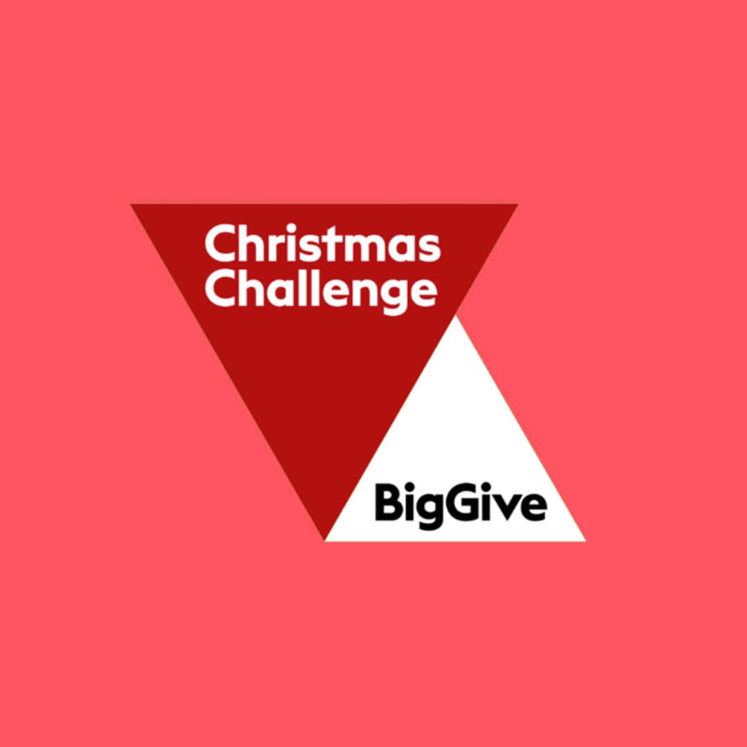 The Big Give Christmas Challenge UK